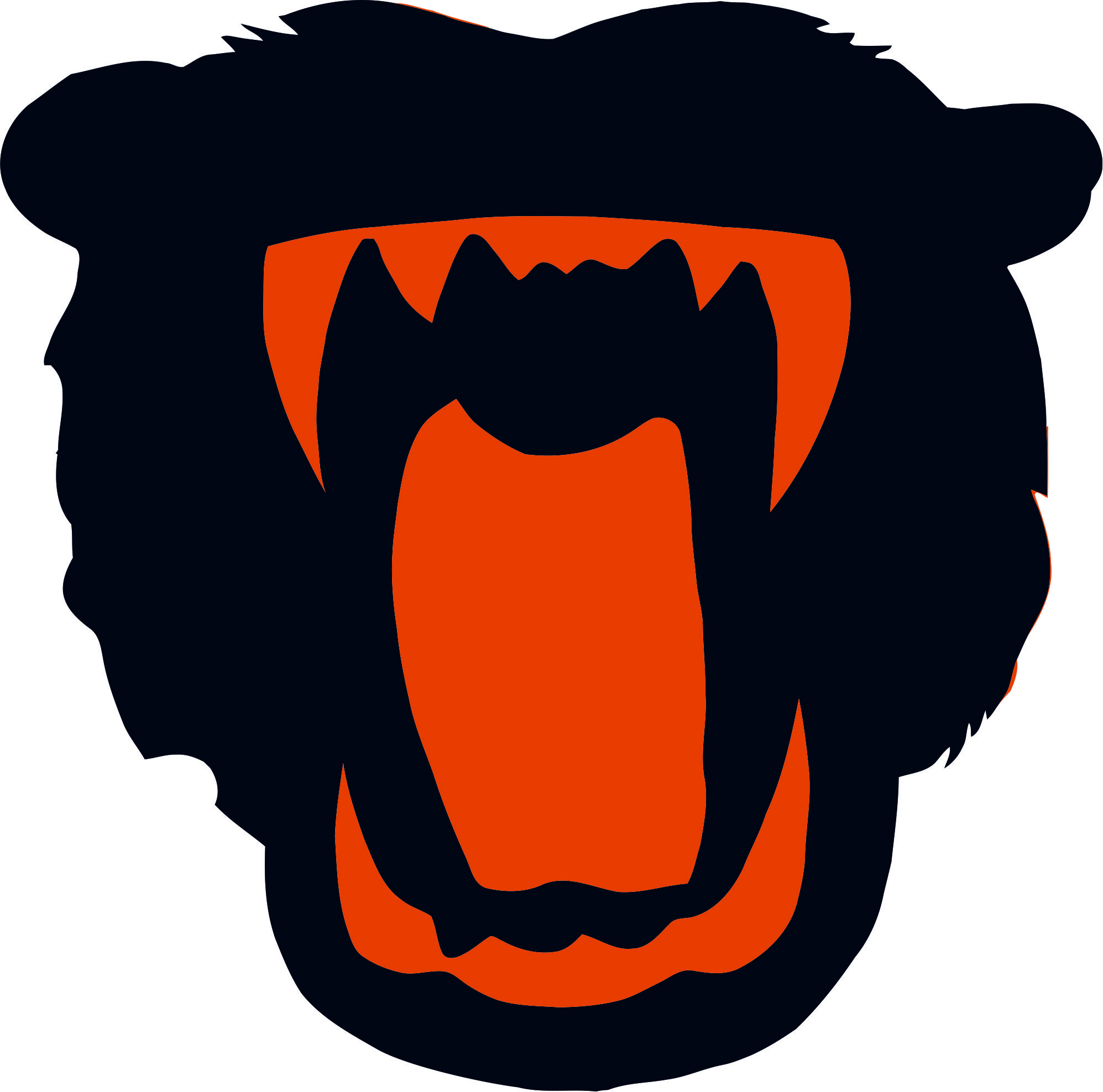Chicago Bears Halloween Logo fabric transfer